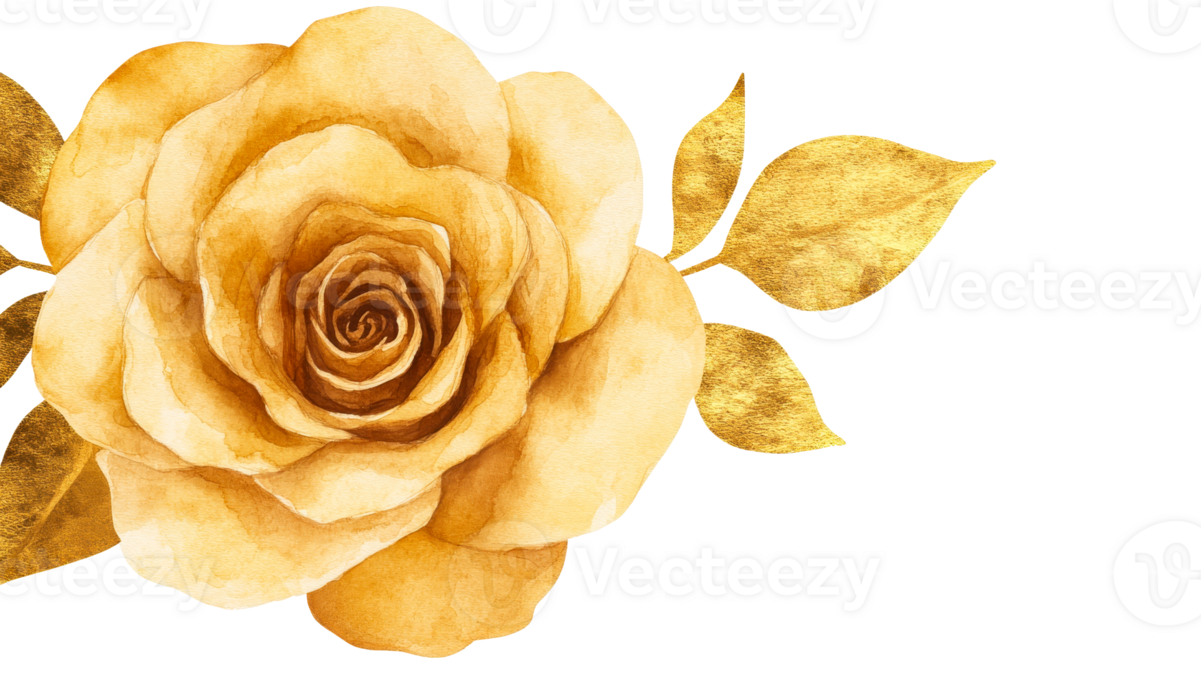 Watercolor Rose, Gold Leaves, Floral Arrangement, Art, Design, cut out transparent png