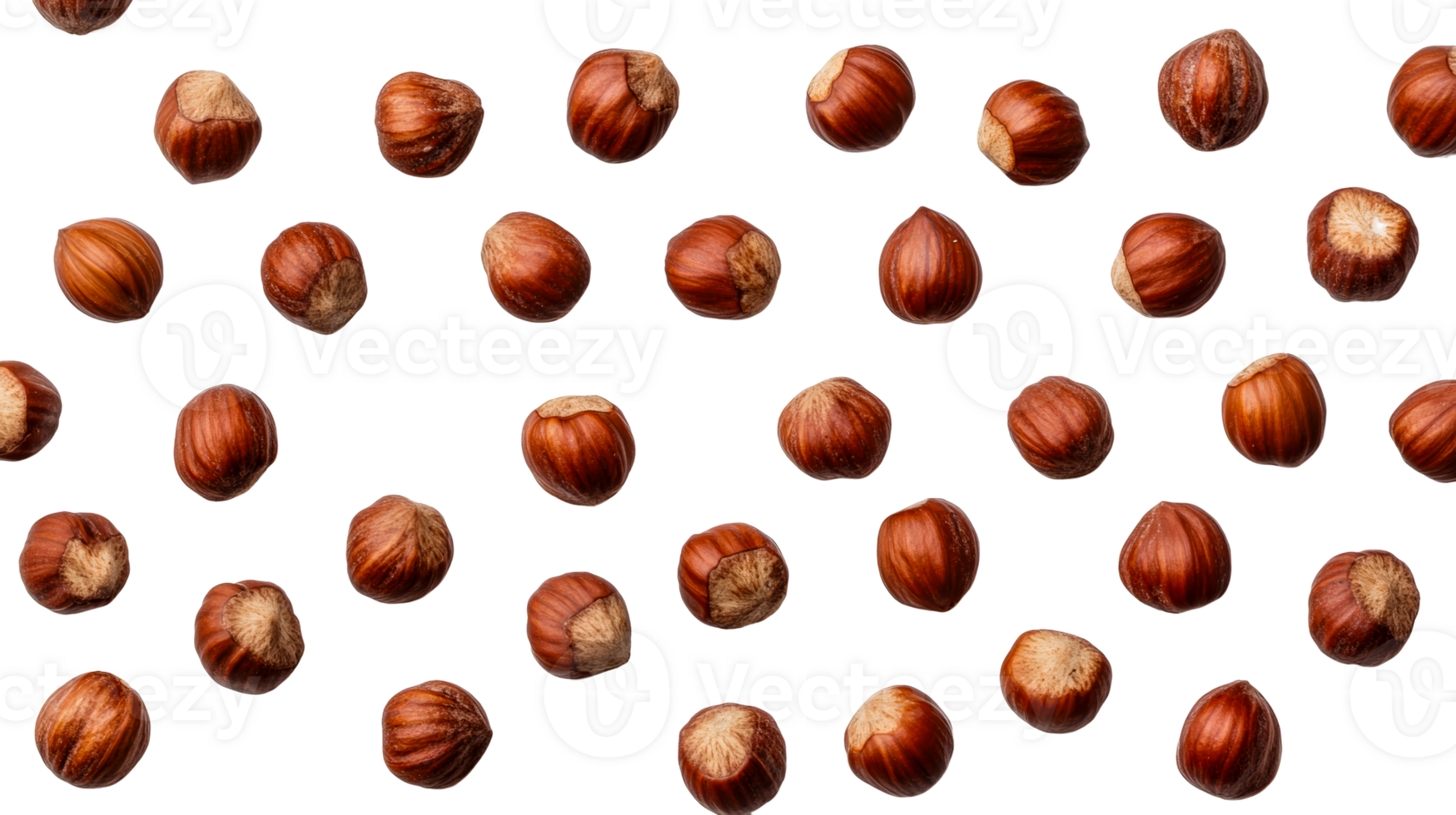 Hazelnuts in a group, brown nutshells with nuts, cut out transparent png