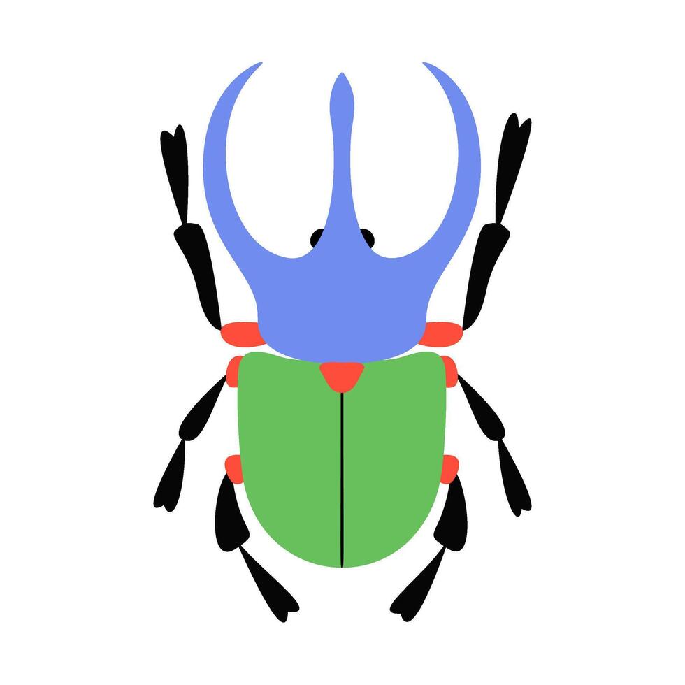 Stylized beetle. Bug with unique and colorful design. Hand drawn trendy flat style. Ideal for educational materials, childrens books, decorative illustrations, insect themed decorative purposes vector