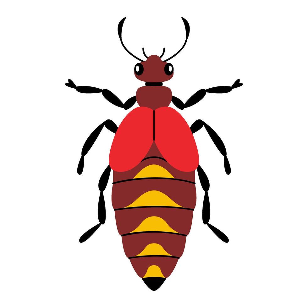 Stylized beetle. Bug with unique and colorful design. Hand drawn trendy flat style. Simple, Minimalist design, clean lines modern flat style. Ideal for nature designs and childrens illustrations vector