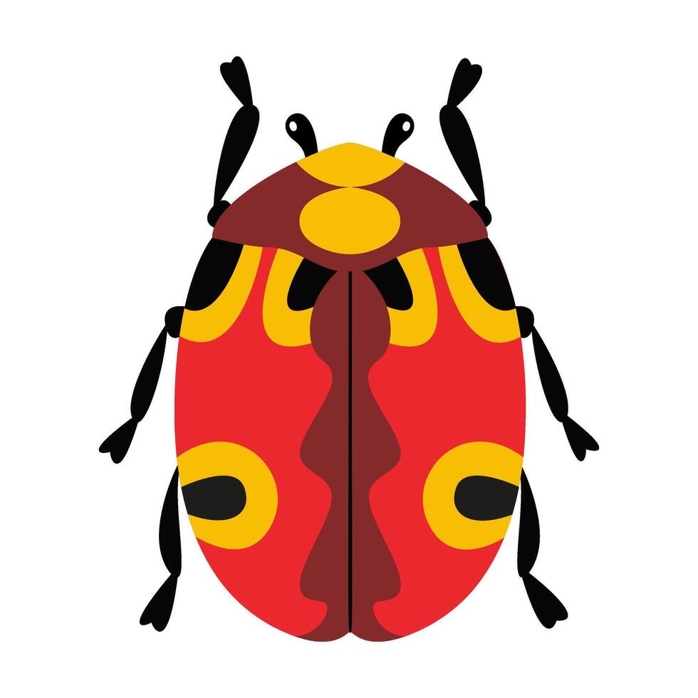 Stylized cartoonish beetle with bright red body and black spots. Hand drawn trendy flat style. Simple, modern design. for educational illustrations, insect themed designs or decorative purposes. vector