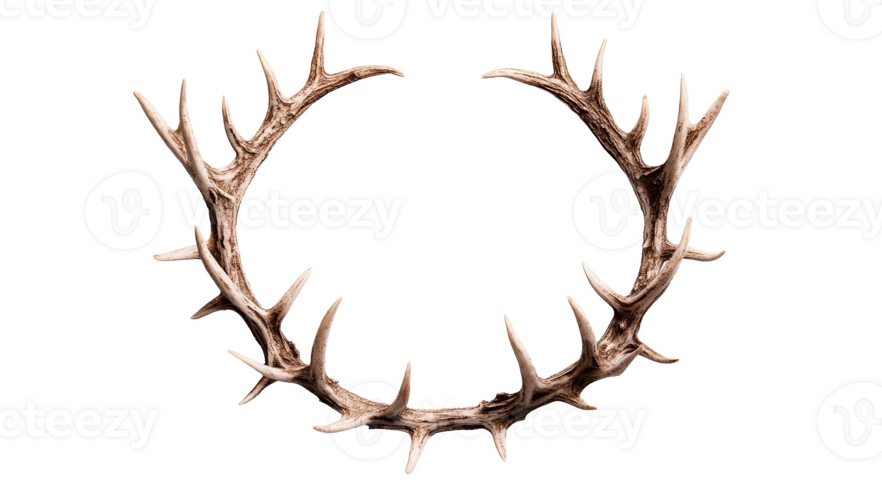 Antler Frame on Black Background, cut out transparent png