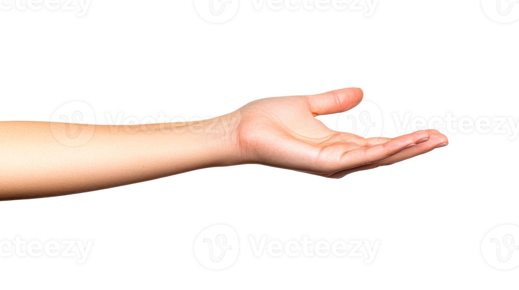Reaching hand presents item, arm extending to give, cut out transparent png