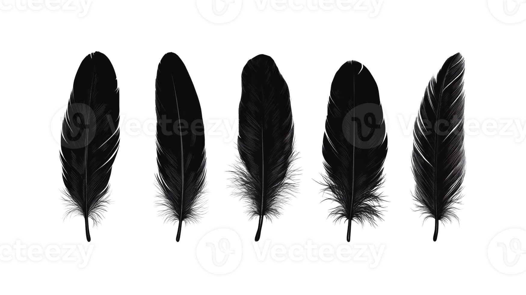 Set of five black feathers art, illustration, cut out transparent png