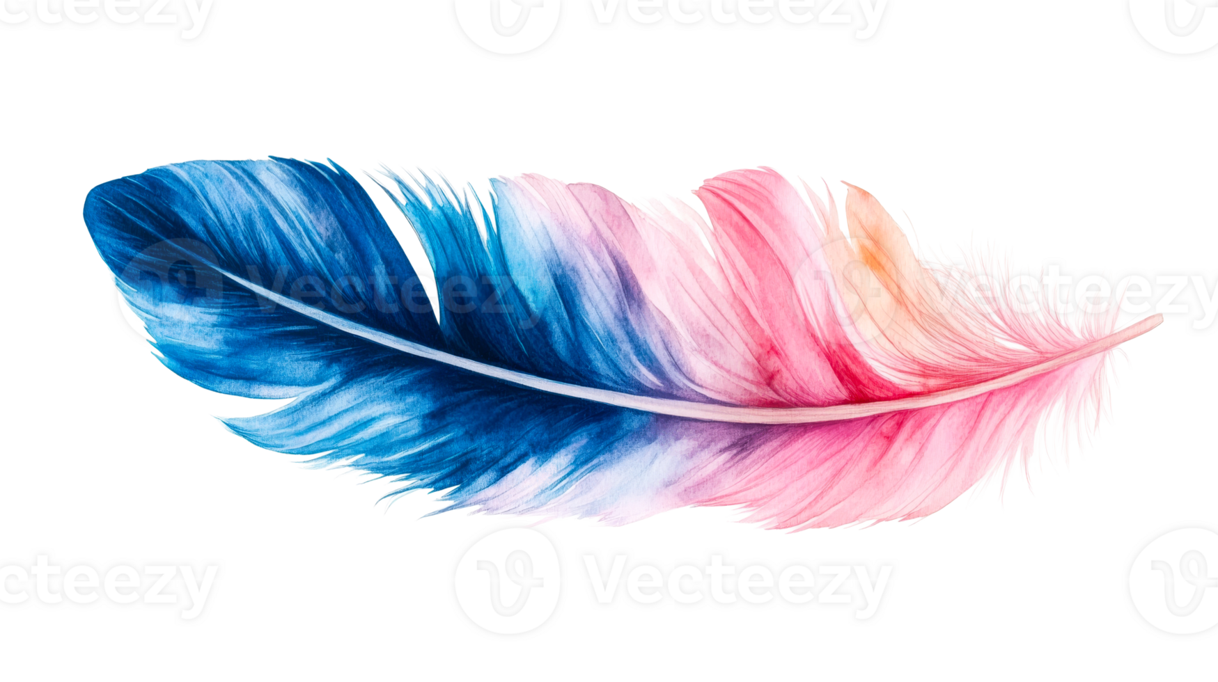 Watercolor feather, abstract, vibrant colors, avian plumage, cut out transparent png