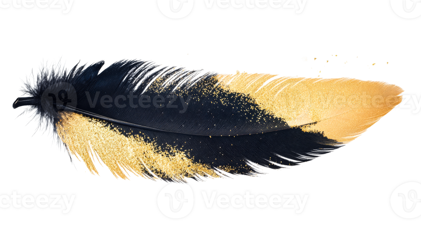 Elegant black and gold feather detailed artwork, cut out transparent png