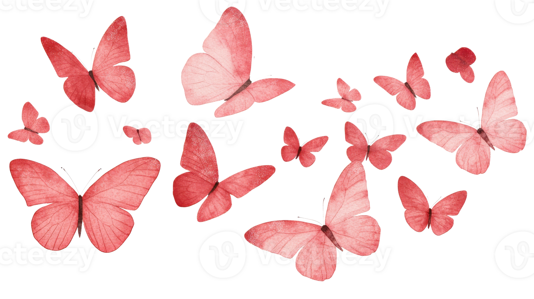 Red watercolor butterfly isolated on black backdrop , cut out transparent png