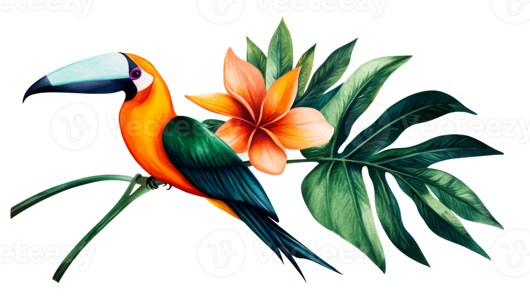 Tropical Toucan Bird Watercolor Flower, isolated design element, cut out transparent png