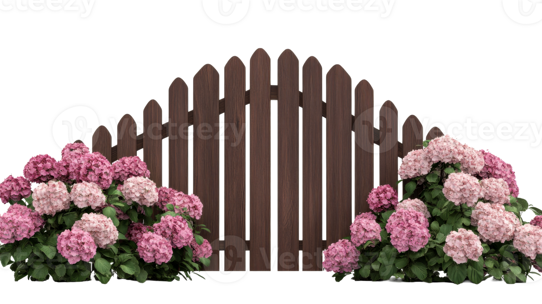 Brown fence with pink hydrangea flower clusters, cut out transparent png