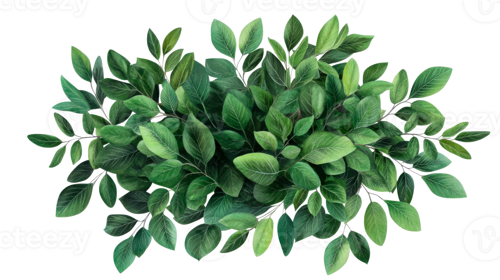 Lush green foliage arrangement isolated on black backdrop, cut out transparent png