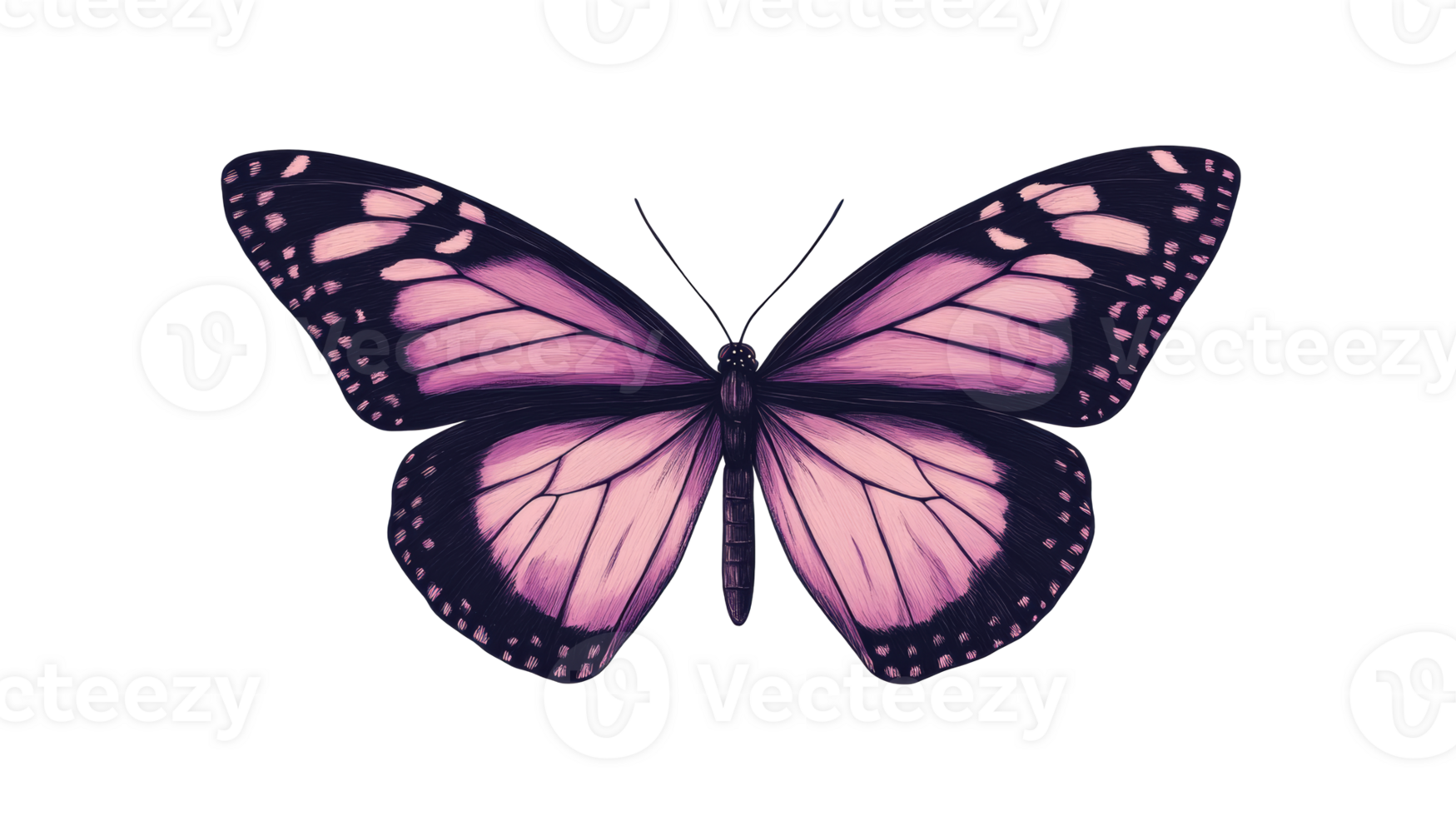Pink butterfly with an intricate pattern on a black backdrop, cut out transparent png