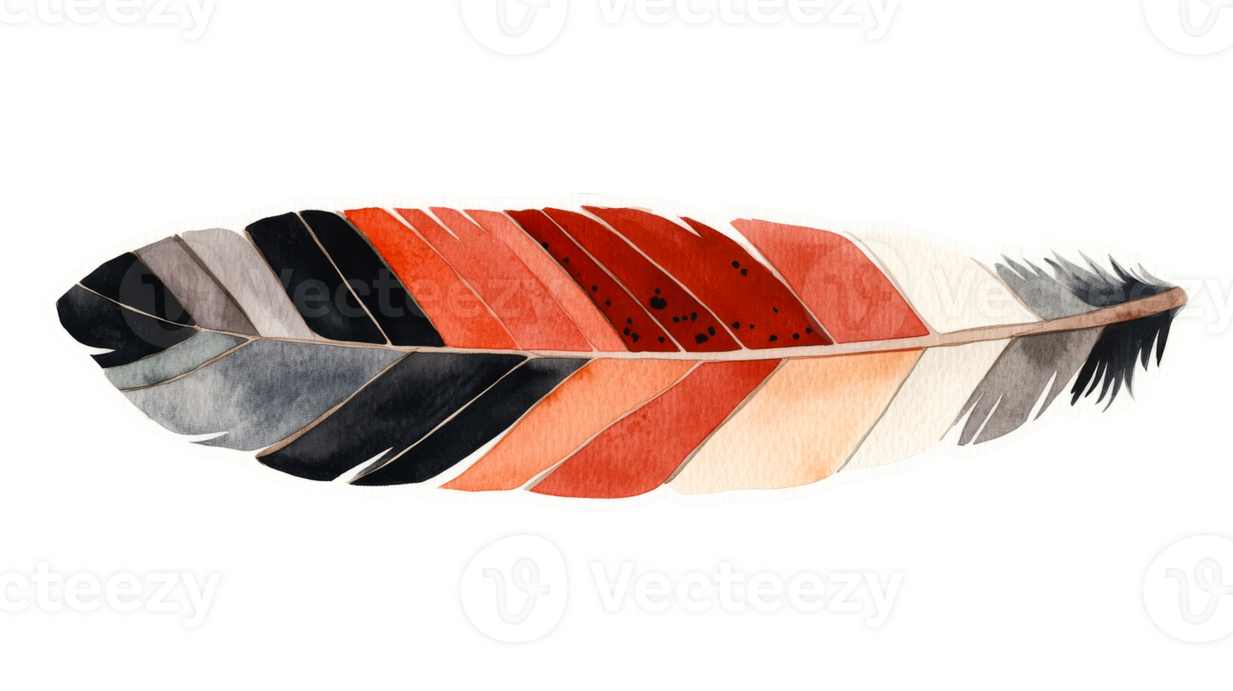 Watercolor feather with vibrant colors and unique details, cut out transparent png