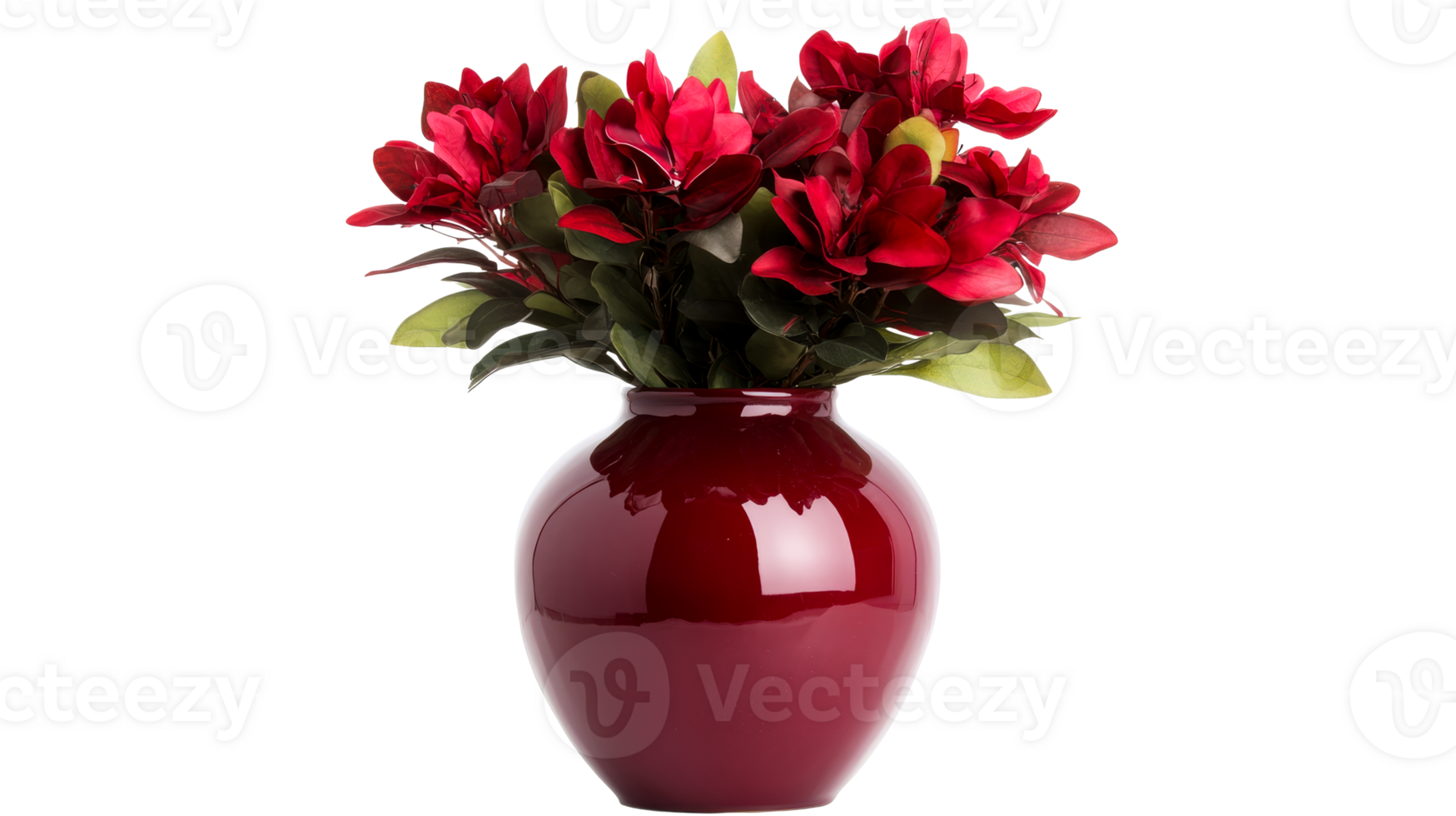 Red Flowers in Vase Isolated on Black, cut out transparent png