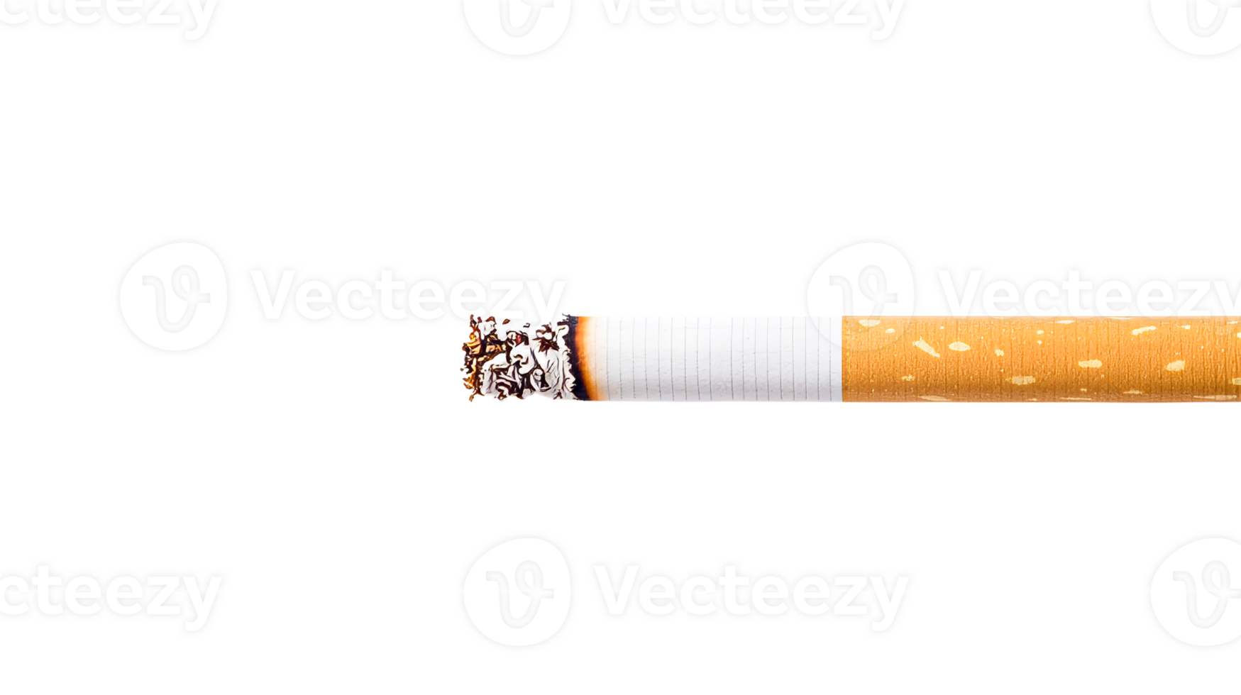 Lit cigarette against black background, close-up, burning, cut out transparent png