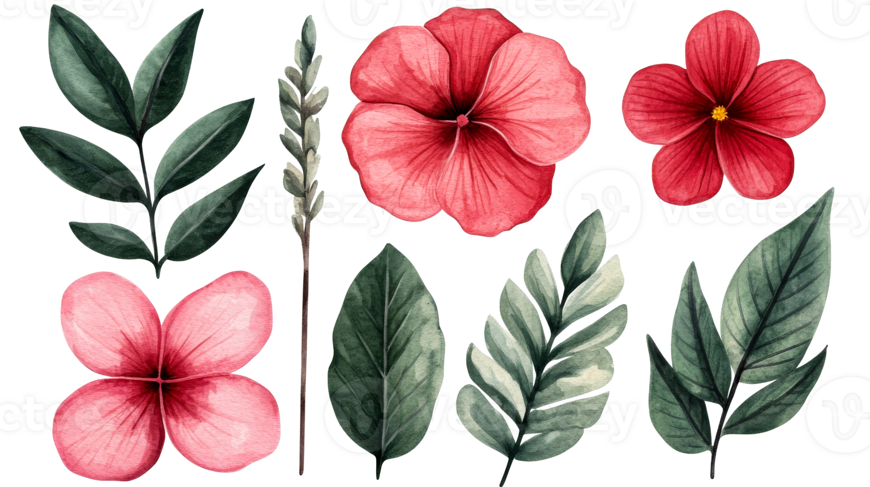Watercolor plants set with red flowers and leaves, cut out transparent png