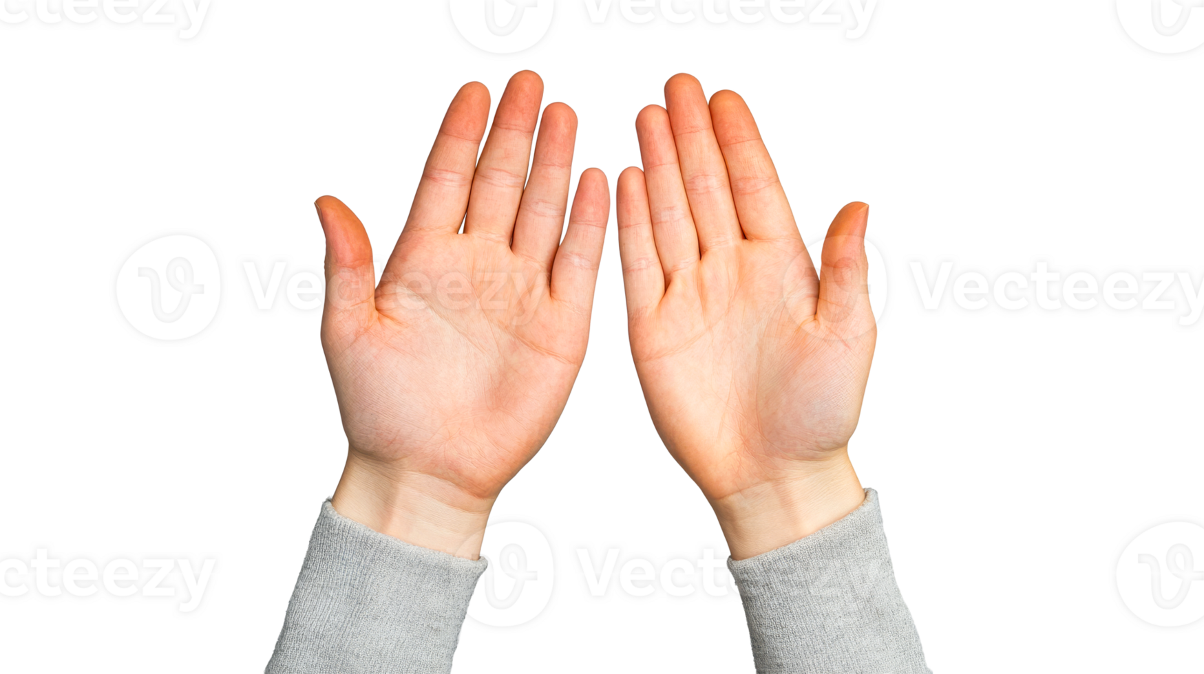 Open hands offering gesture on black background, cut out transparent png