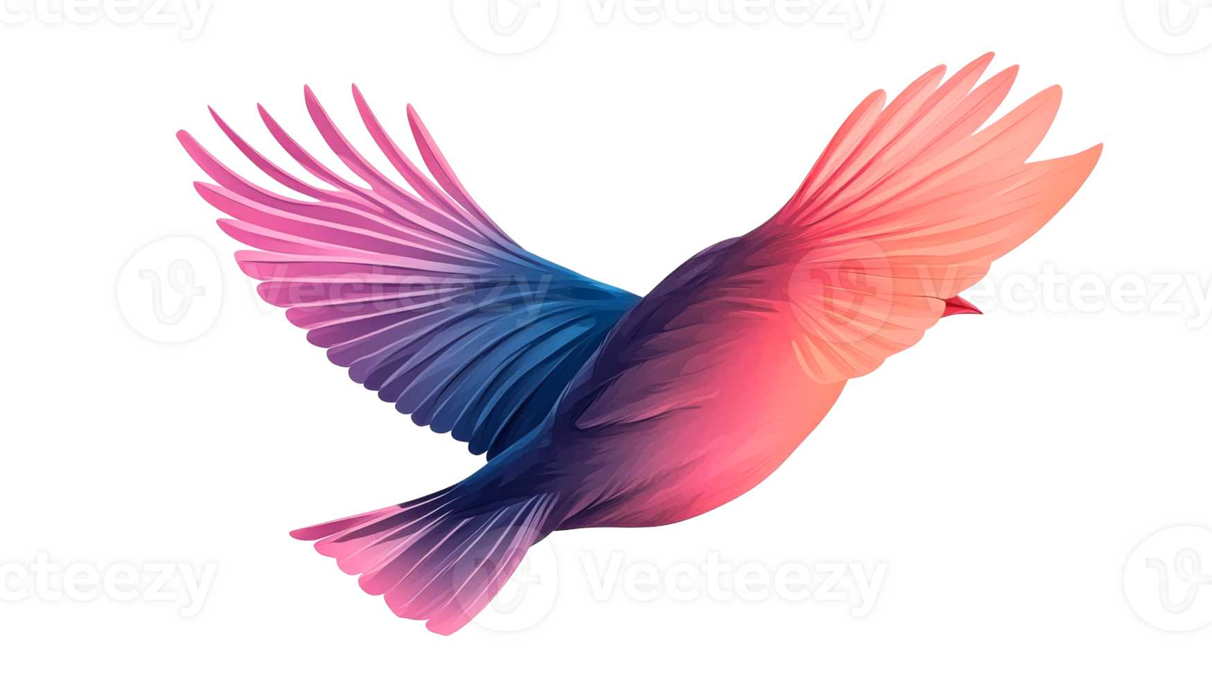 Colorful bird illustration with gradient wings, cut out transparent png