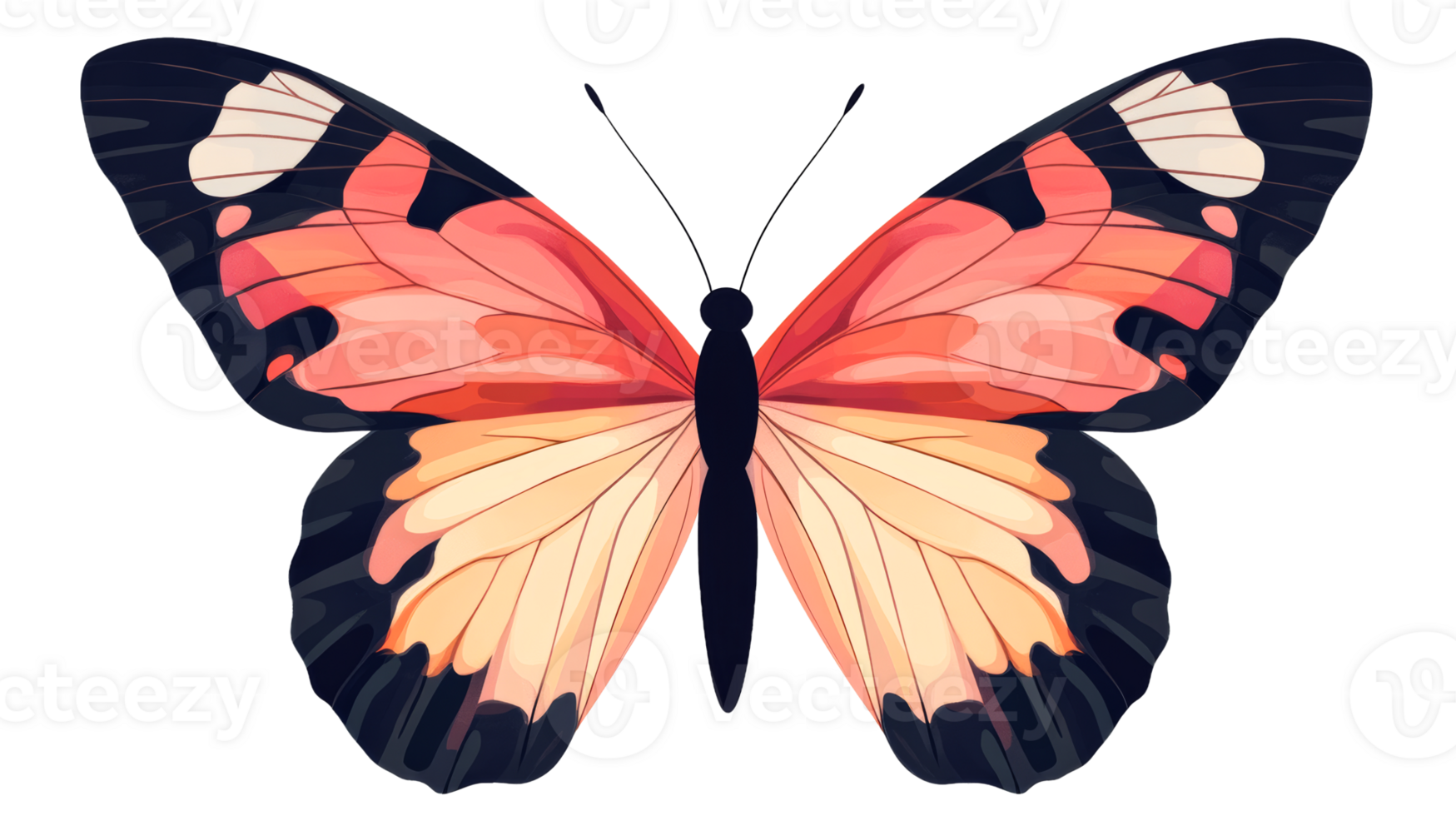 Butterfly wings, orange drawing, black background, cut out transparent png