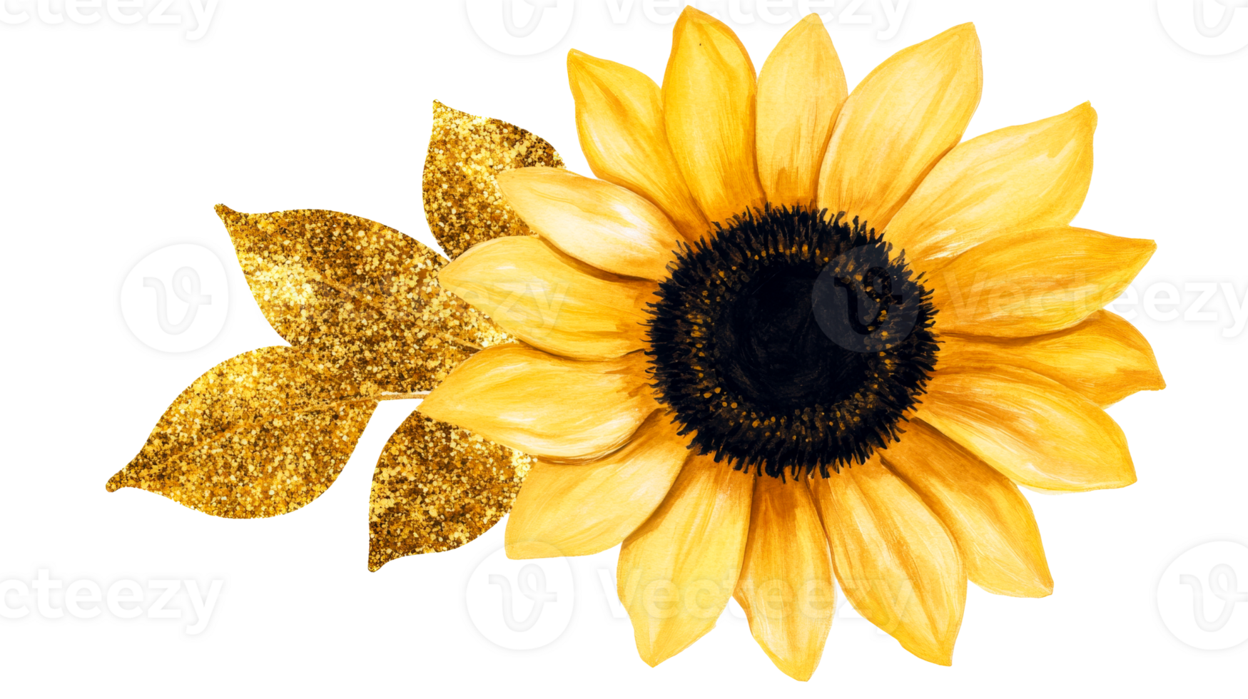 Sunflower with gold petals and black center, cut out transparent png