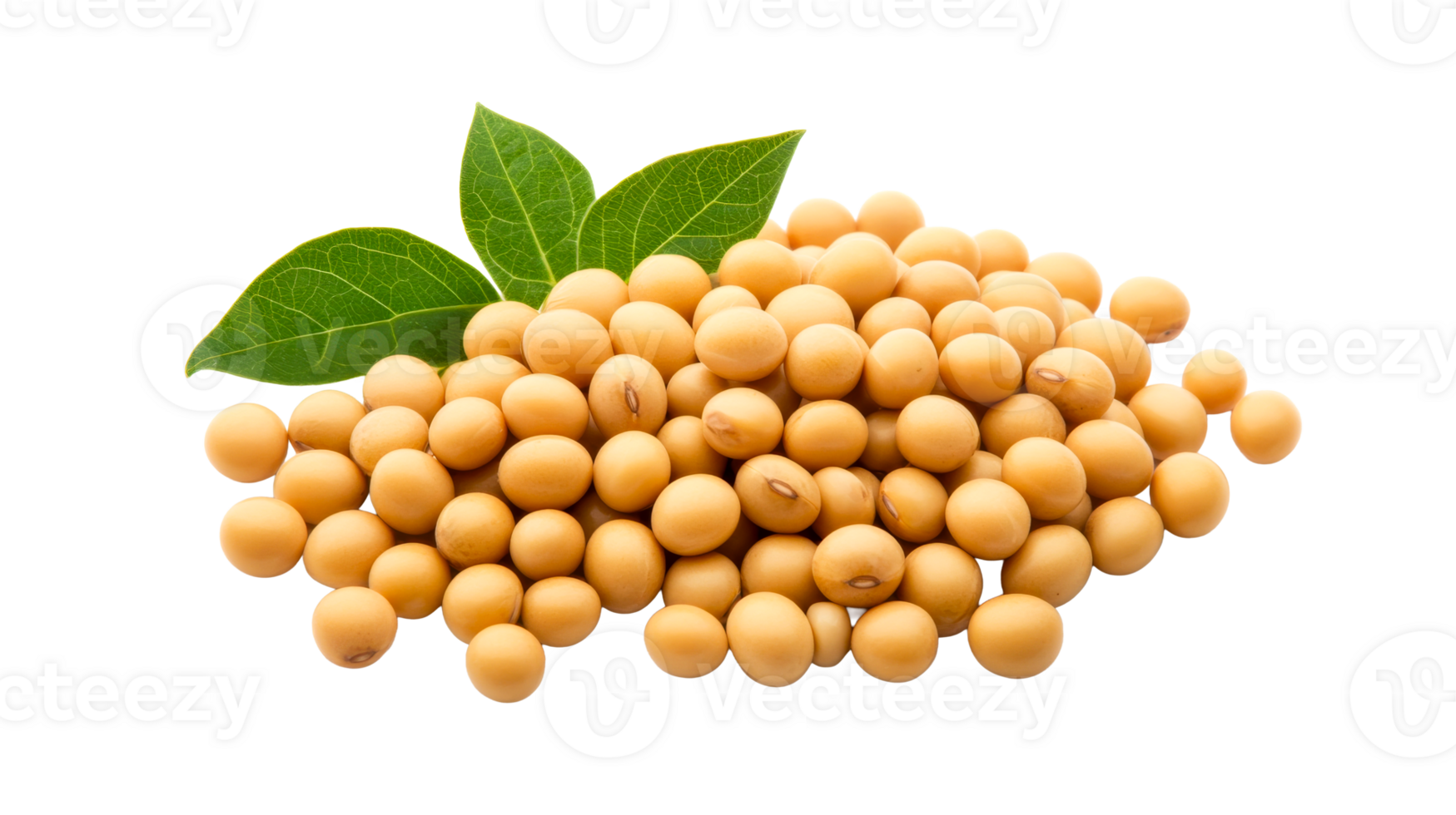 Soybeans with green leaves pile on black background, cut out transparent png