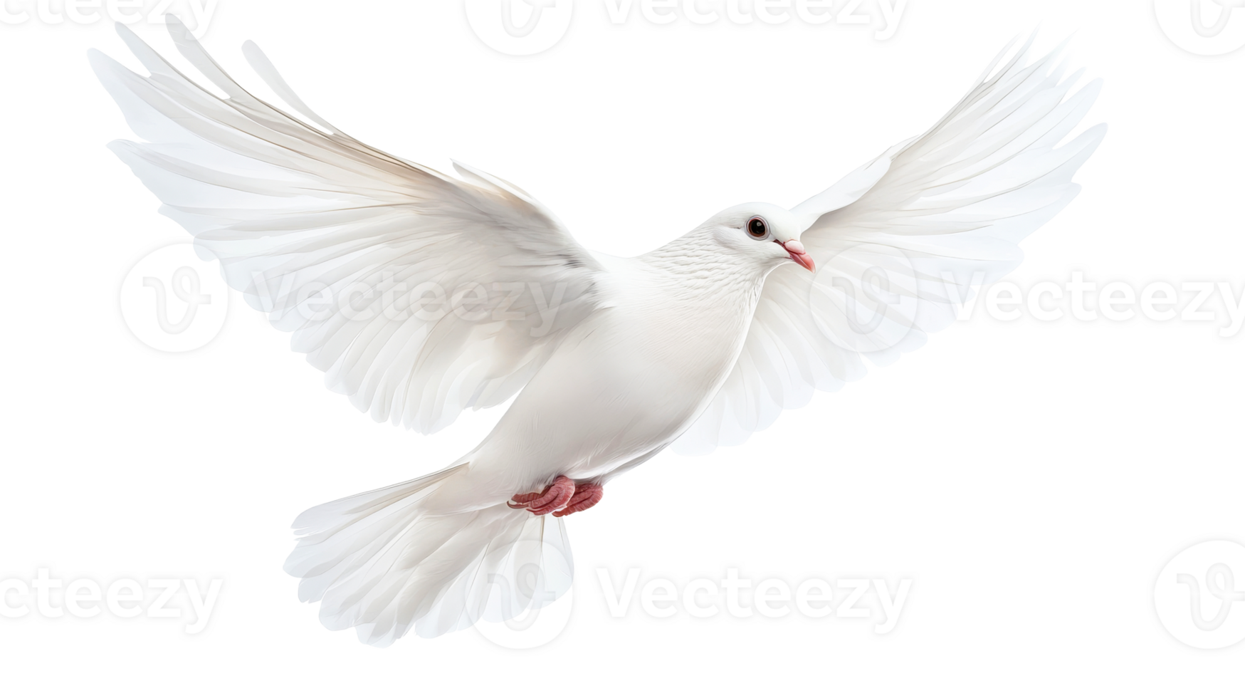 White dove in flight isolated on black background , cut out transparent png