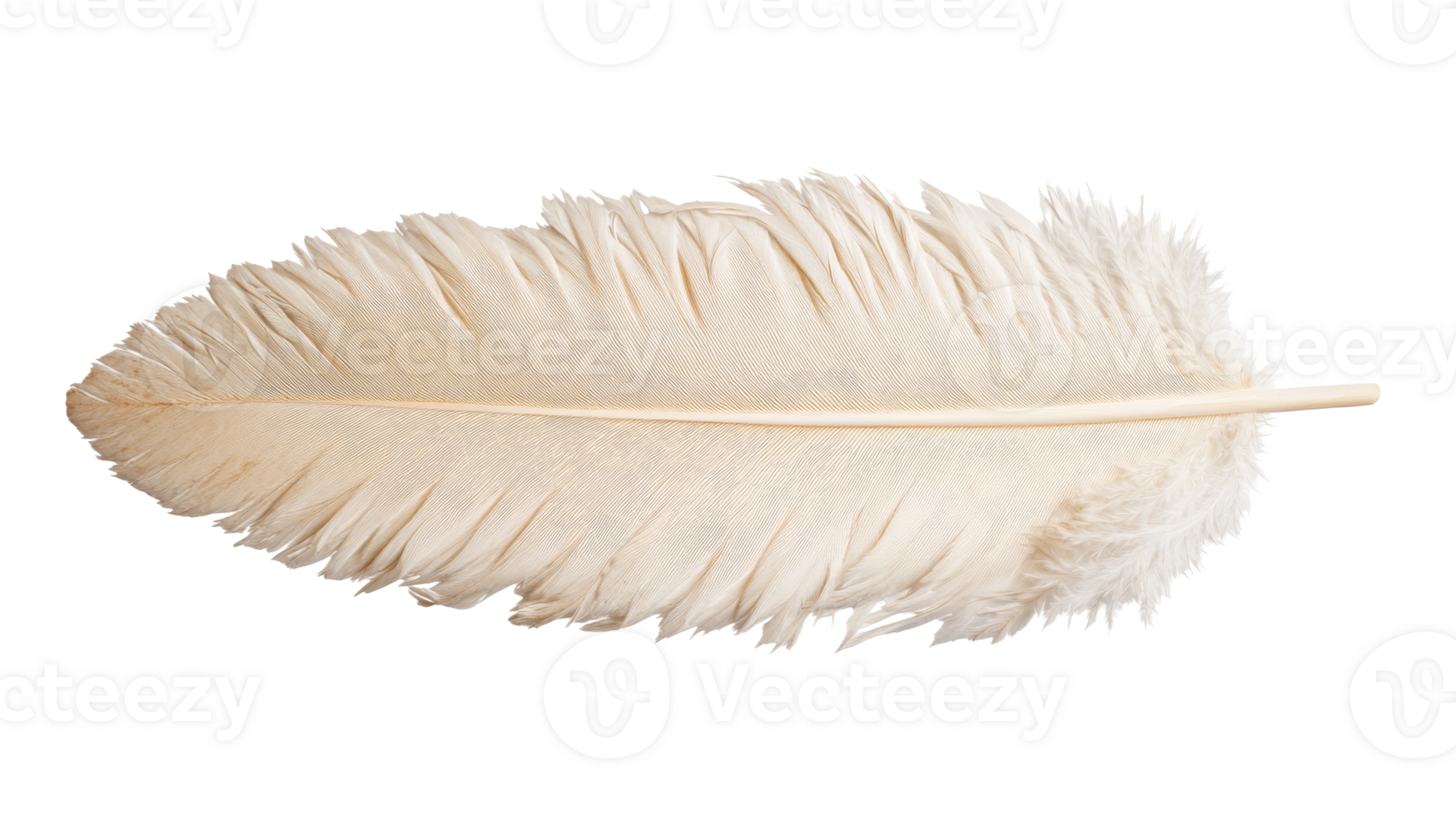 Soft white feather of bird close-up, light and gentle, cut out transparent png