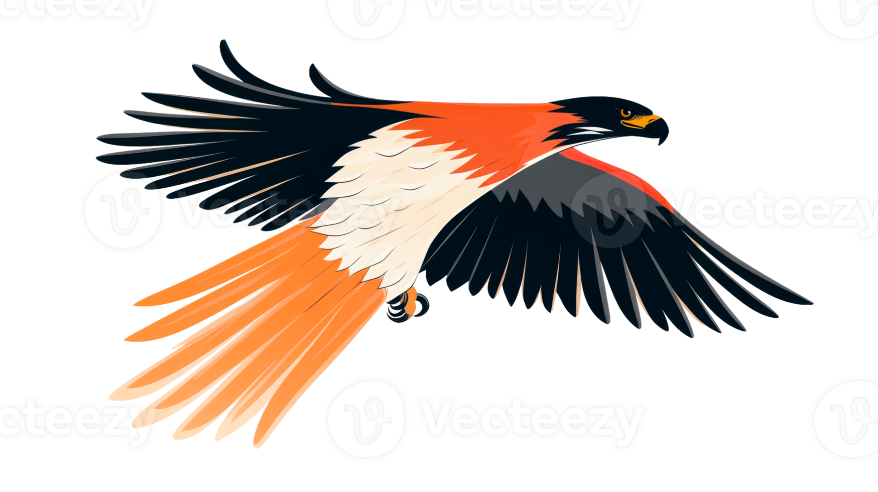 Colorful hawk in flight with detailed feather patterns png
