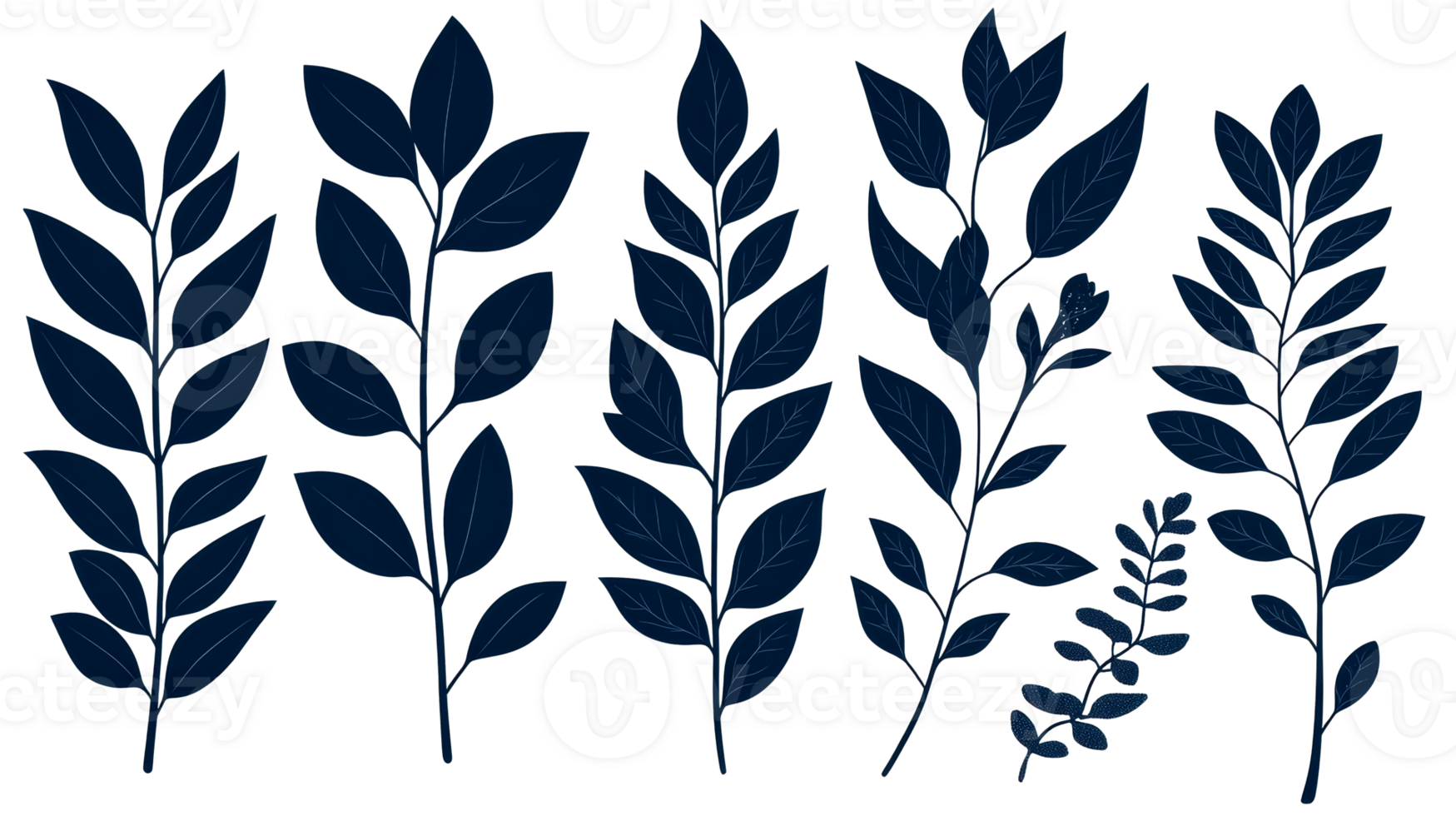 Elegant botanical leaves with a transparent background design png