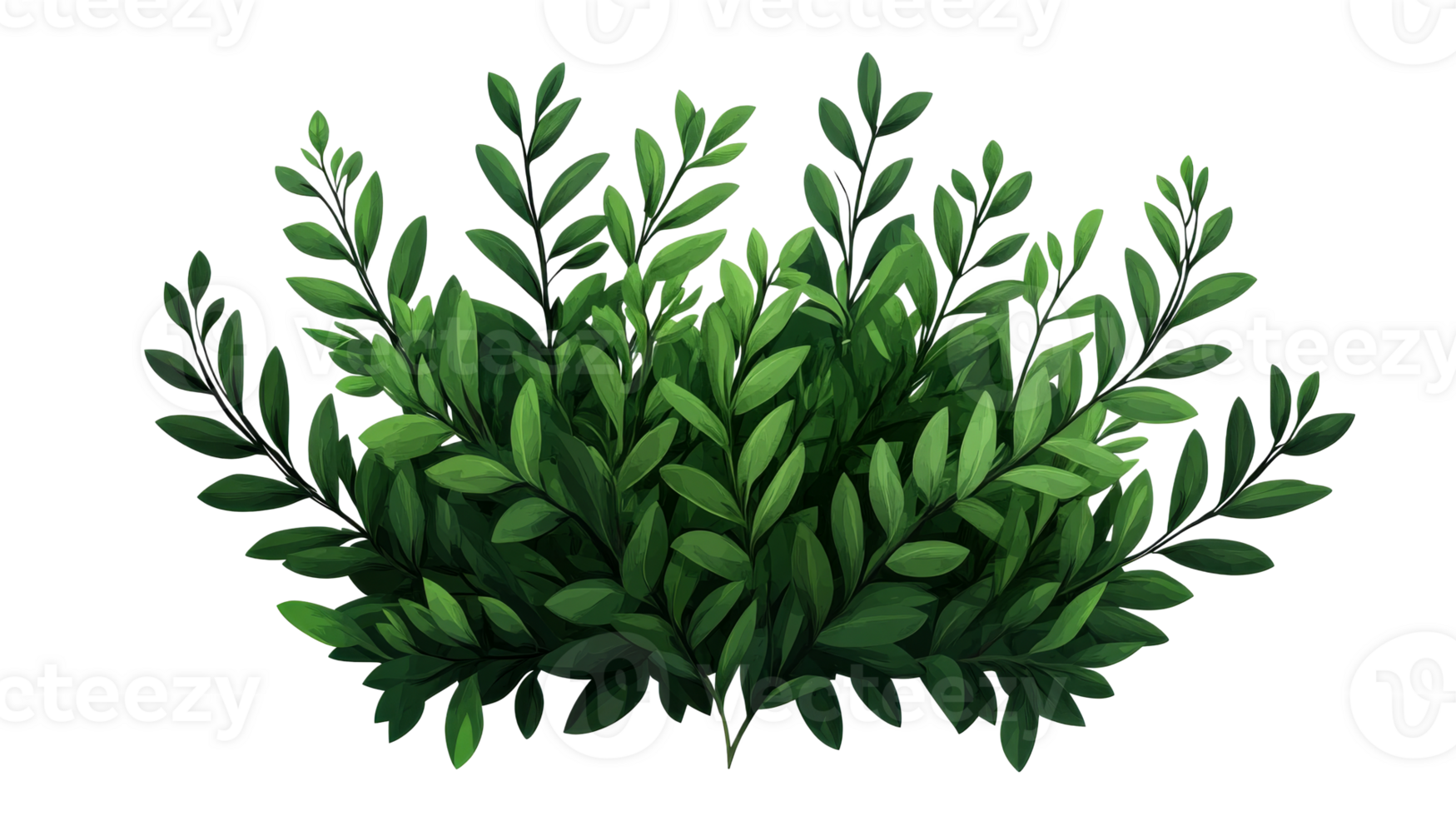 Lush green bush with slender leaves, nature design element, cut out transparent png