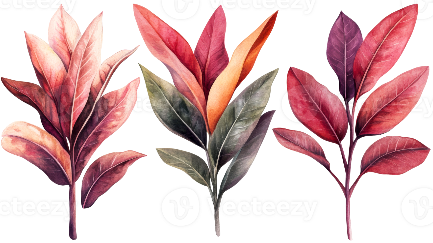 Watercolor foliage design element on black background, cut out transparent png