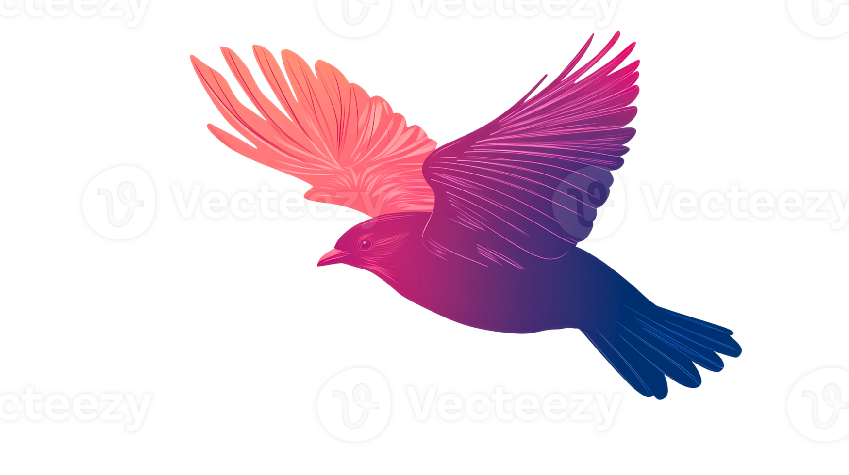 Bird in flight with colorful wings, cut out transparent png