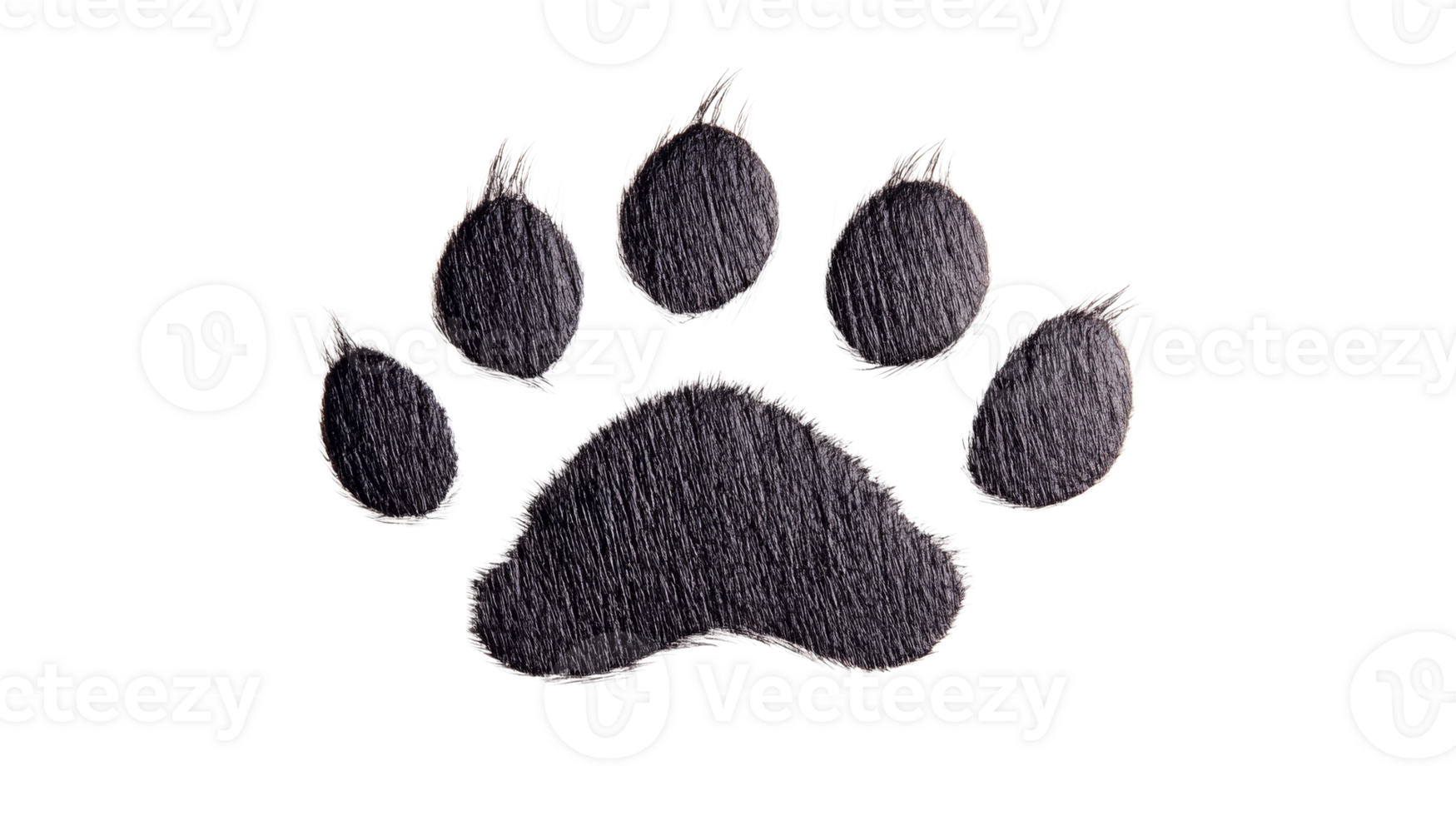 Furry paw print illustration, canine texture on black, cut out transparent png