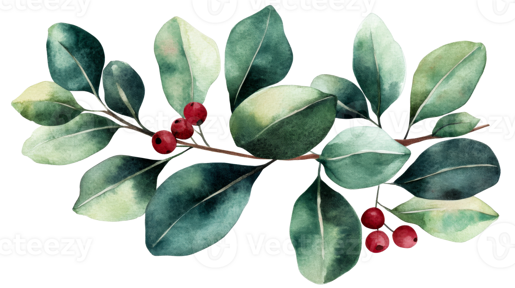 Watercolor eucalyptus branch with berries illustration, cut out transparent png
