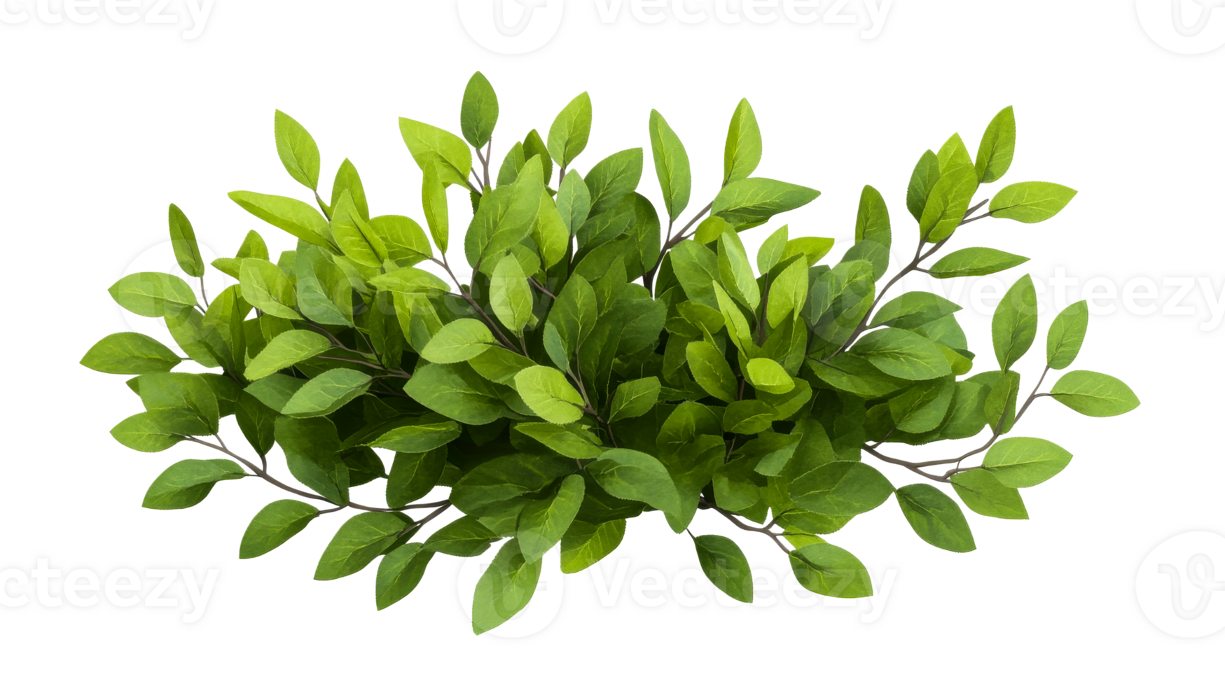 Green bush with shiny leaves, plant, foliage, decoration, cut out transparent png