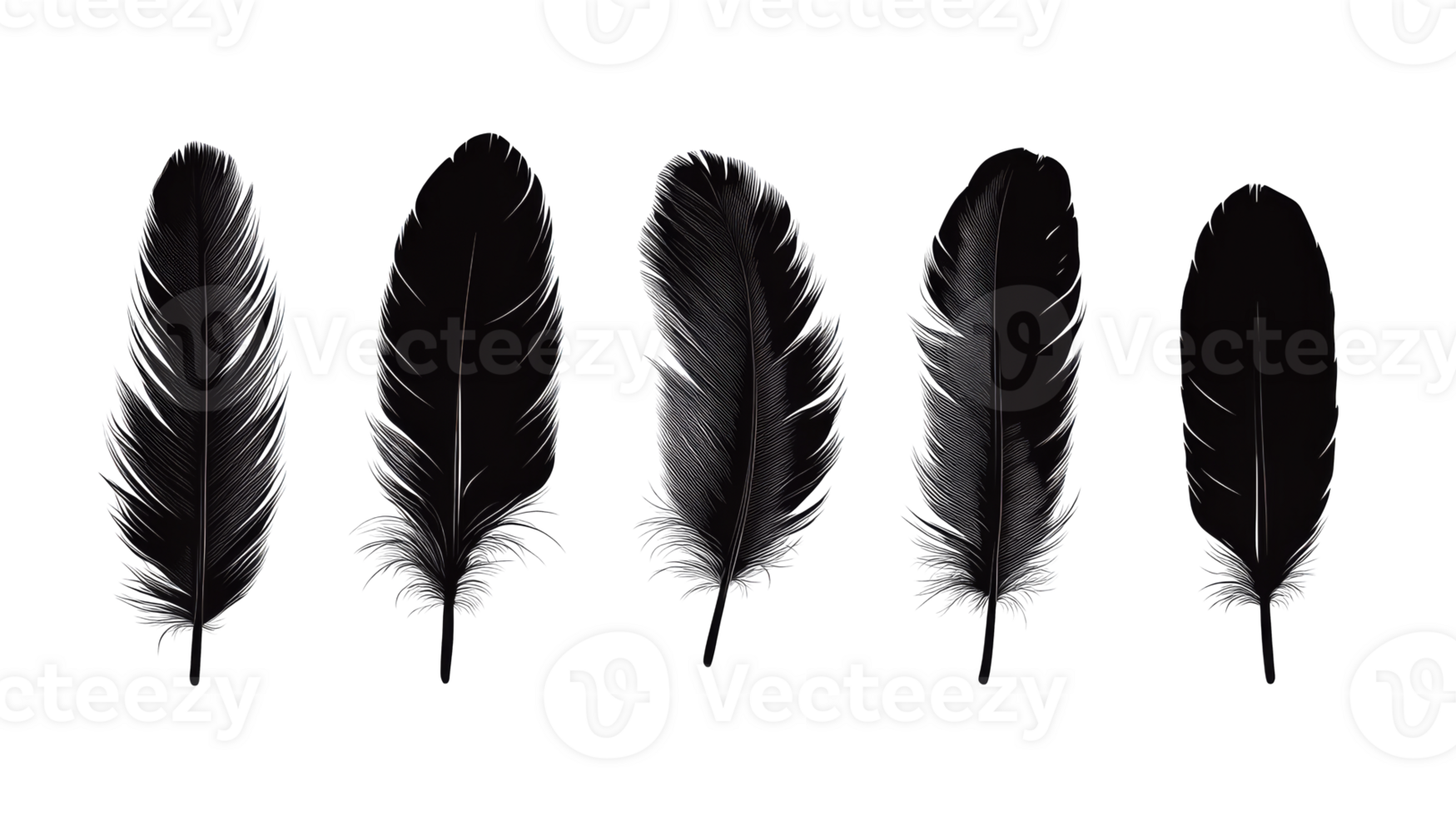 Group of monochrome feathers, black background, elegant design, cut out transparent png