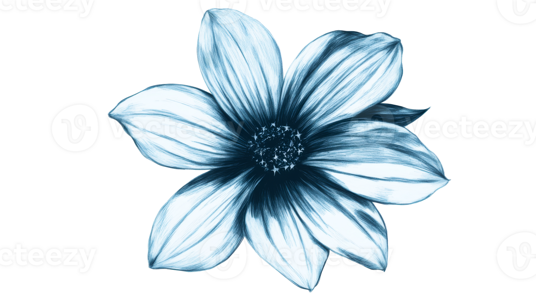Floral illustration of a blue dahlia blossom, botanical art, cut out transparent png