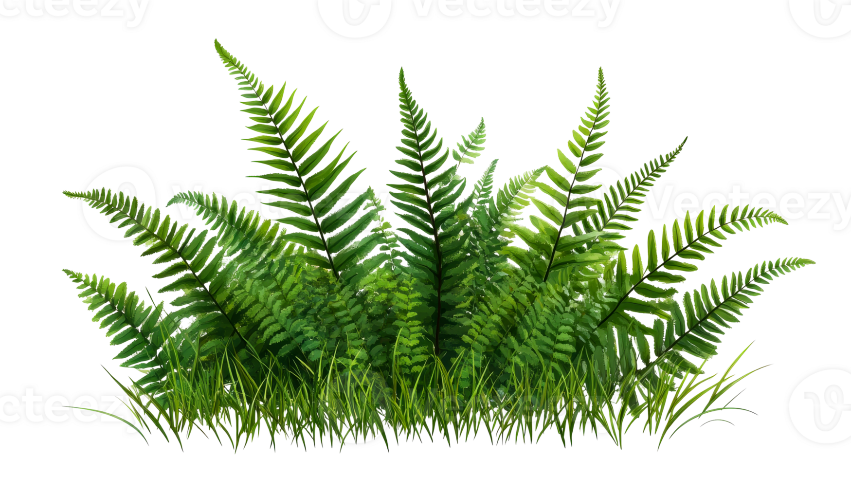 Lush green fern vegetation with grass, cut out transparent png