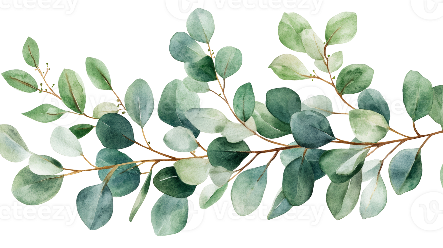 Elegant eucalyptus branches with leaves, watercolor painting, cut out transparent png