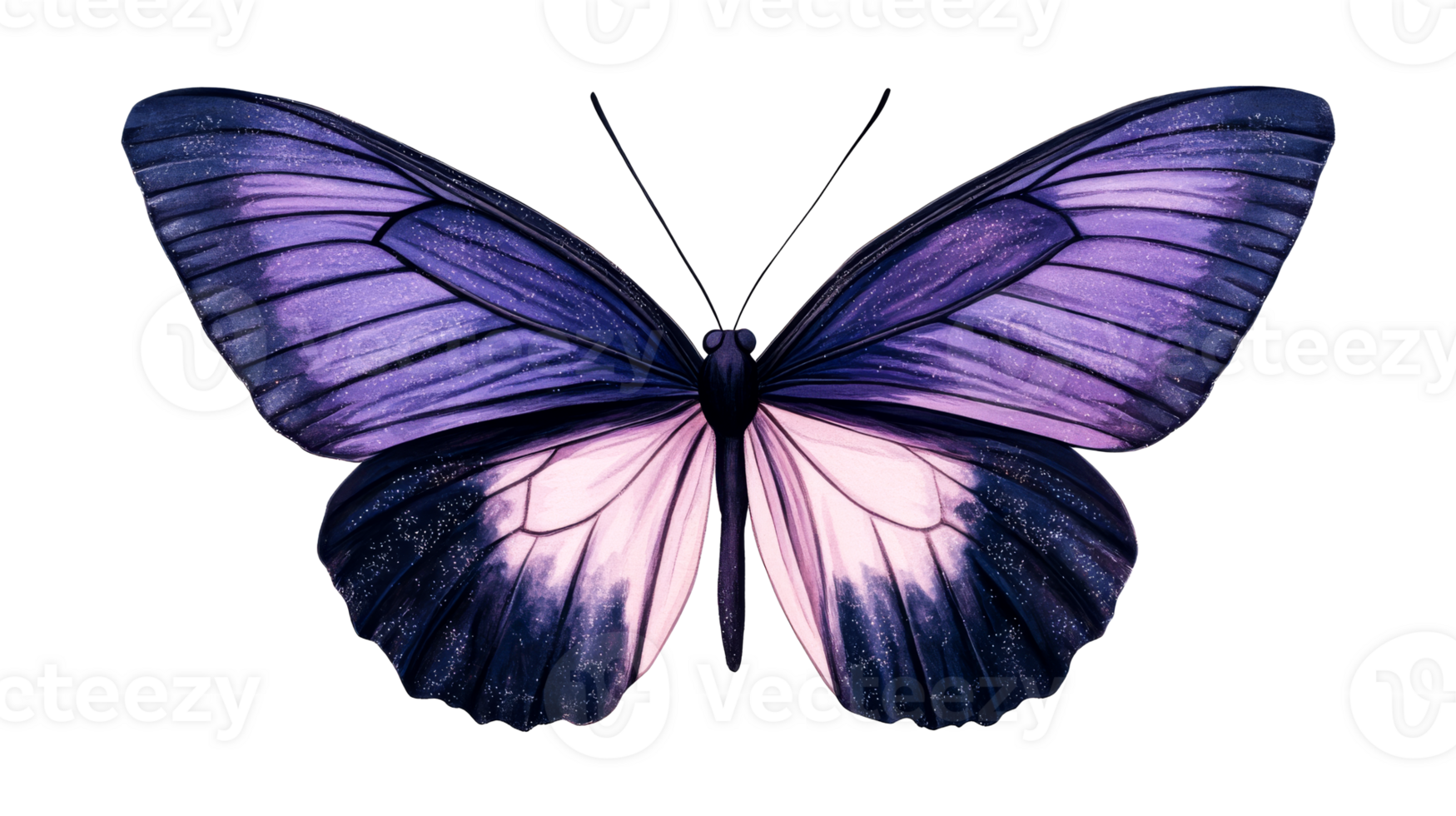 Elegant butterfly illustration with purple wings, cut out transparent png