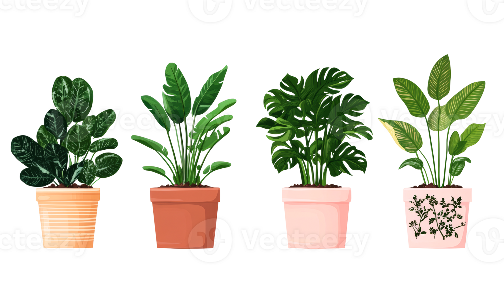 Potted plants illustration, home decor, isolated on black, cut out transparent png