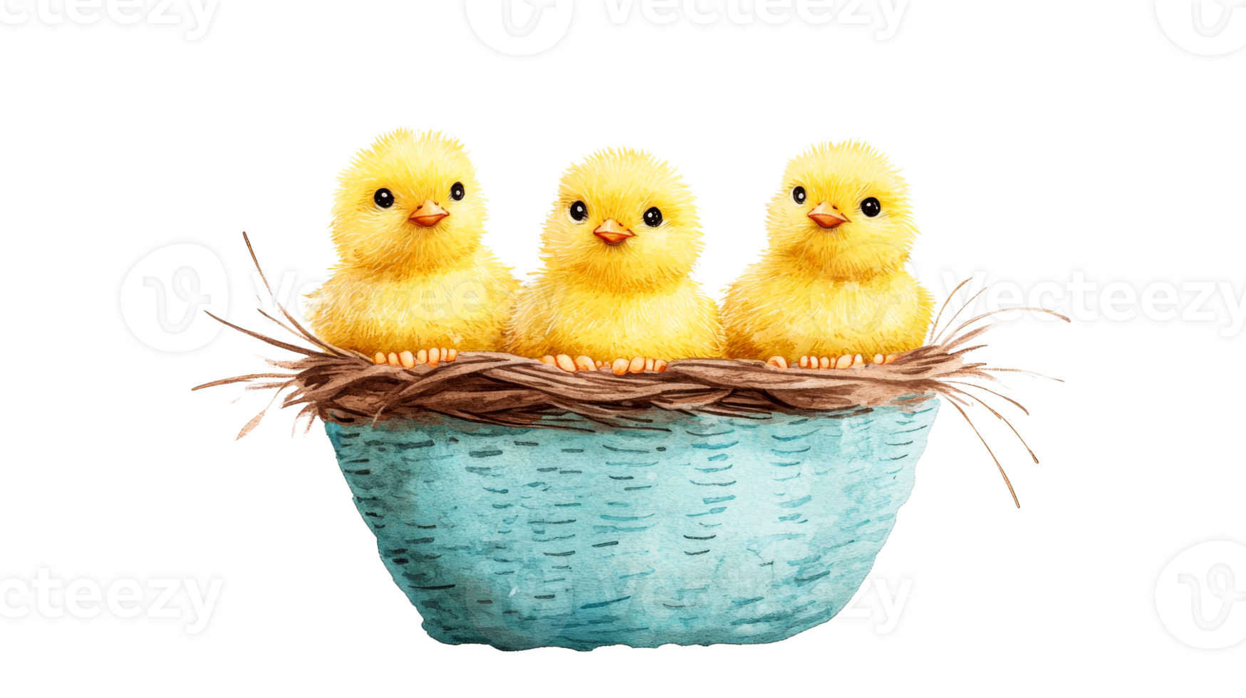 Three fluffy yellow chicks in a blue woven basket, cut out transparent png