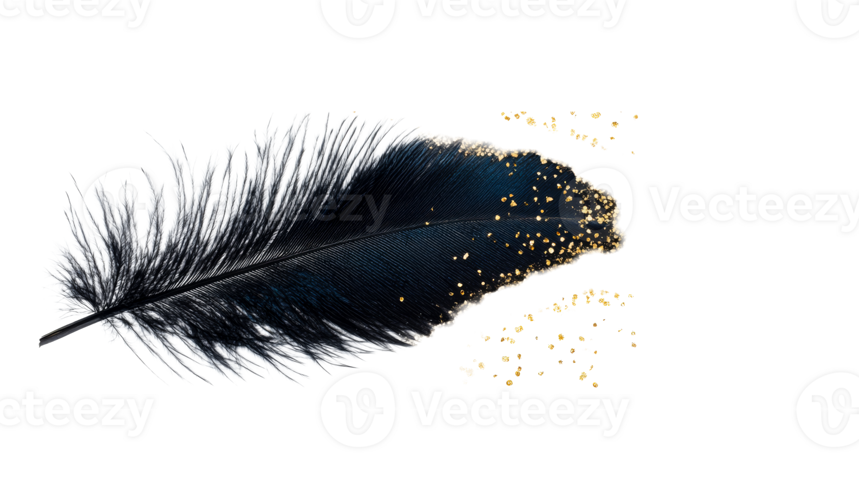 Feather dark with golden speckles, isolated luxury design, cut out transparent png