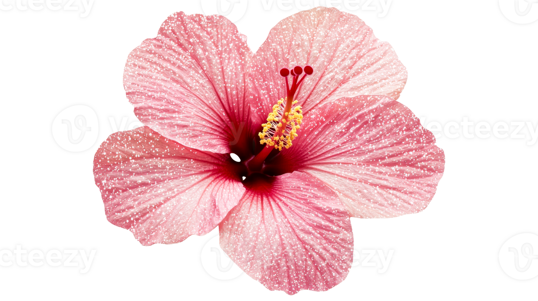 Pink hibiscus flower petals pattern background, cut out transparent png
