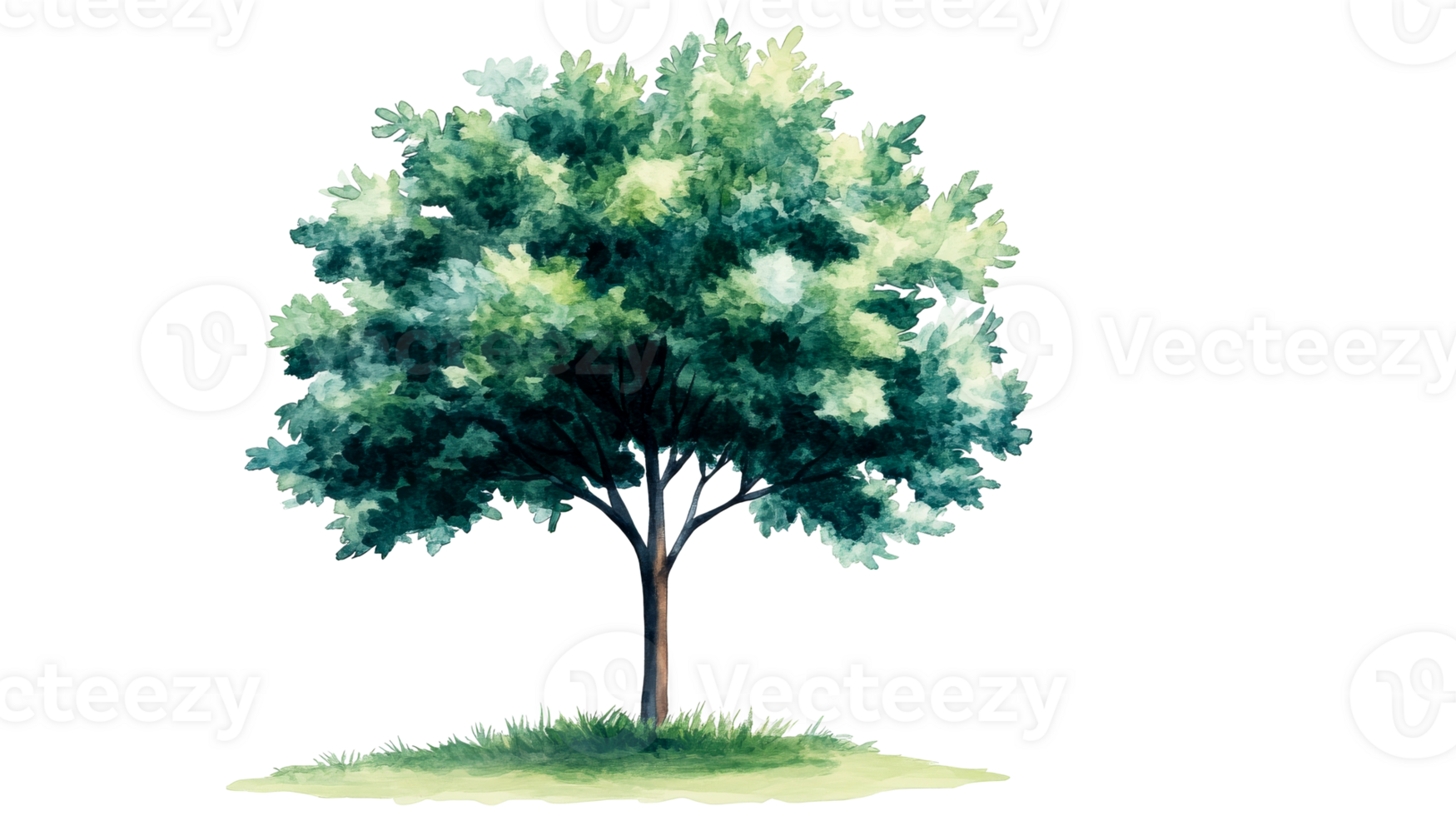 Tree with Green Leaves Illustration, Cut Out Transparent png