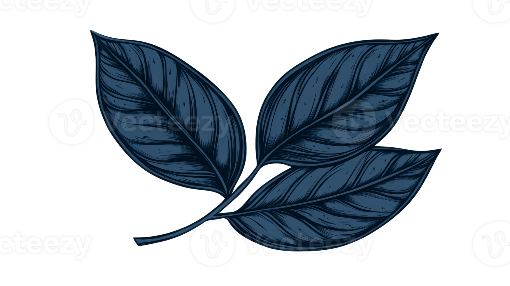 Three stylized indigo leaves with intricate vein details, cut out transparent png