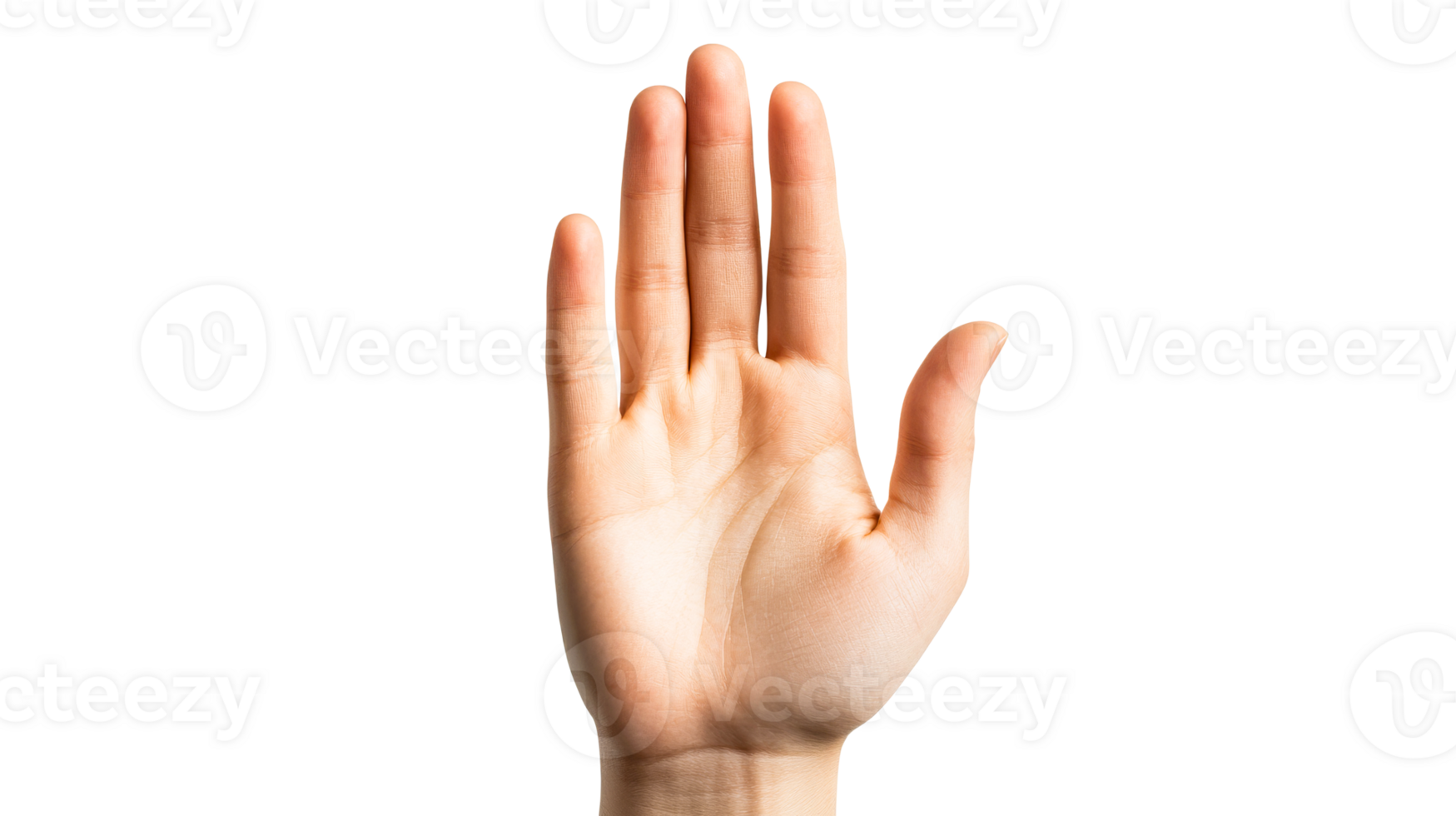 Human hand shows stop gesture with palm flat, cut out transparent png