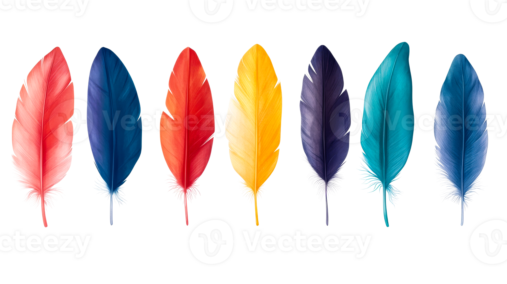 Colorful feathers in a row against black, studio shot, cut out transparent png