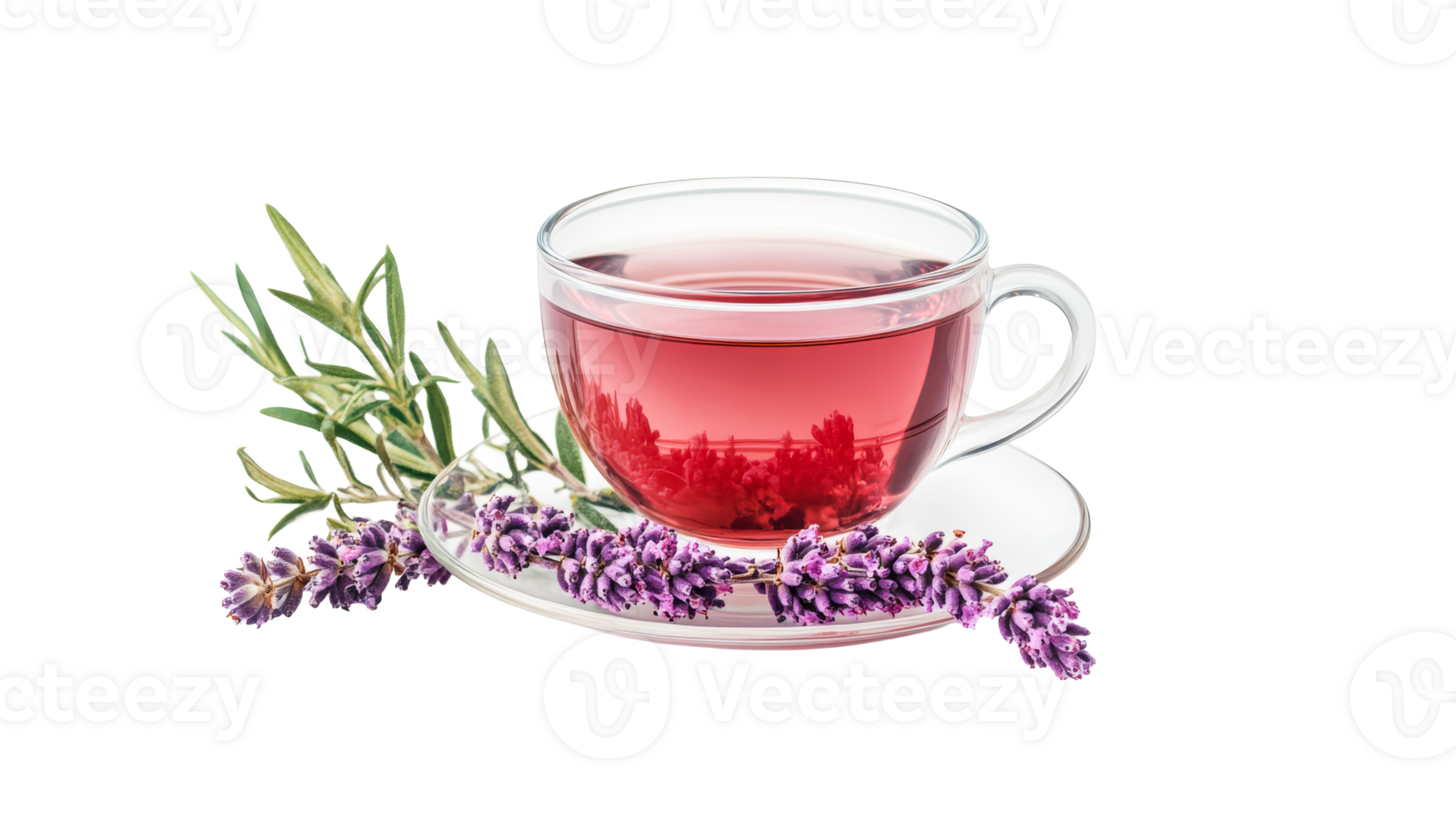 Cup of herbal tea with lavender and rosemary, cut out transparent png