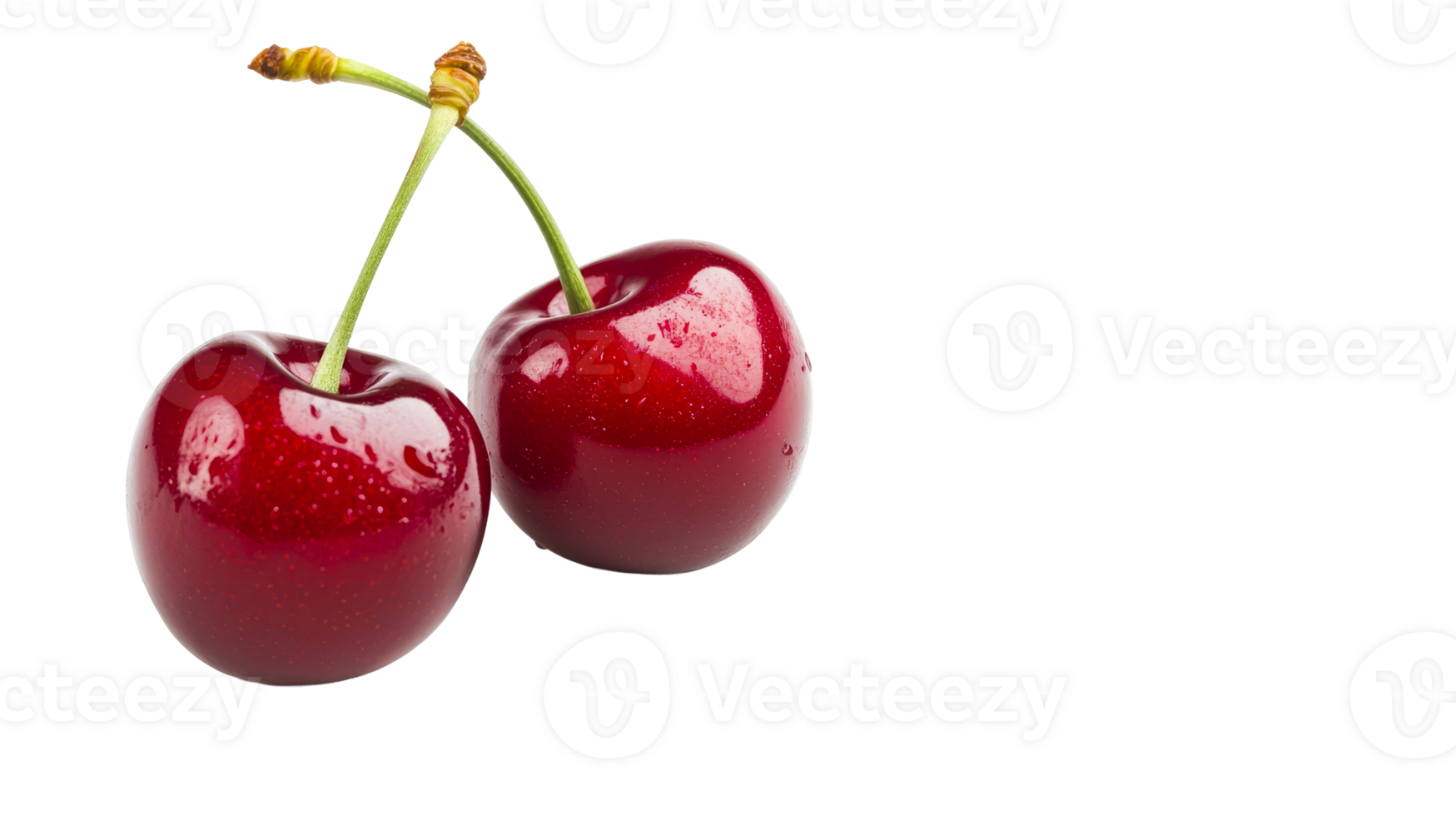 Glossy wet cherries couple with stems, cut out transparent png