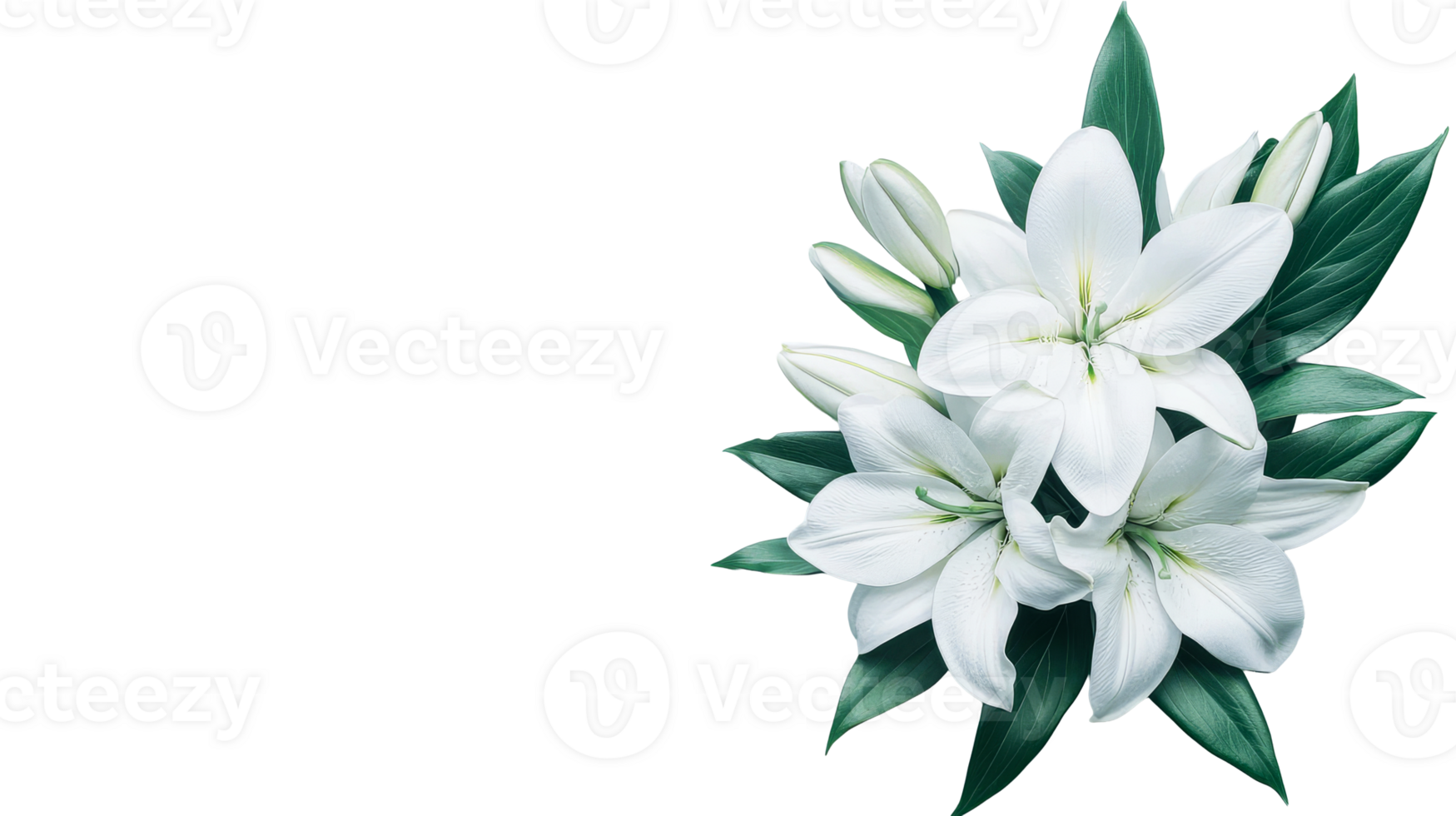 Elegant white lilies bouquet, floral arrangement on black background, cut out transparent png